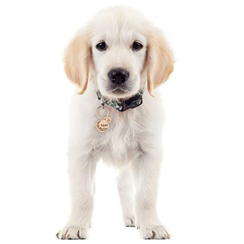 Natiform Personalized Dog Tags, Stainless Steel Engraved Cat Id Tags, Fun Wild Flower Frame Design, Dog Collar Charm Microchips, Floral Pet Name Pendant(Rose Gold) #TOP2