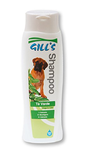 CROCI Gill's Green Tea Shampoo, 200 ml