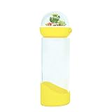 Bewaltz Cactus Glass Water Bottle w/Cute 3D Miniature Globe Lid 15 oz, Perfect Everyday Gift, Includ