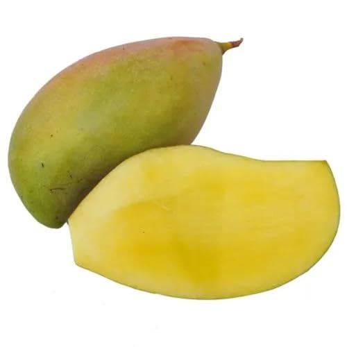 Image of Fresh Mango Totapuri 1 Kg (2-5 pcs).