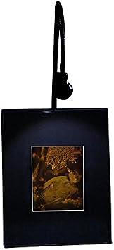 HoloBrands 3D BIRD Hologram Picture LIGHTED DESK STAND, Collectible on Silver Halide Type Film