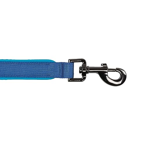 Nite Ize NiteDog Rechargeable LED Leash, USB Rechargeable 5 Foot Light Up Dog Leash w/Padded Handle, Blue - Image 4