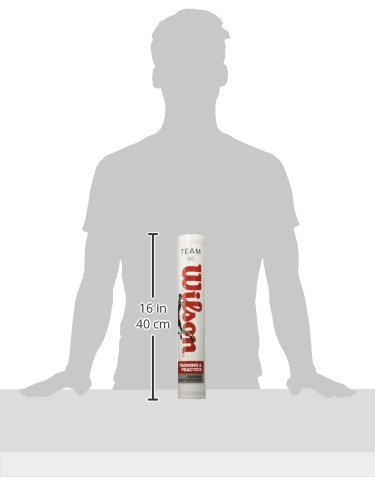 Wilson Team 60 Shuttlecocks #TOP2