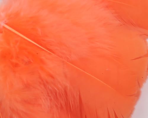 Hareline Fly Tying Intruder Feather Prop Hackle for Steelhead, Salmon, and Streamer Flies