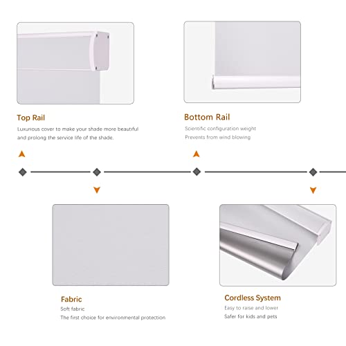 Changshade Blackout Roller Shade With Cassette Valance, Room Darkening Shades Cordless, Roller Blinds For Windows,Window Shade For Light Blocking, Easy To Install,White,27W*72H,Jzrol27Wt72Z #TOP2