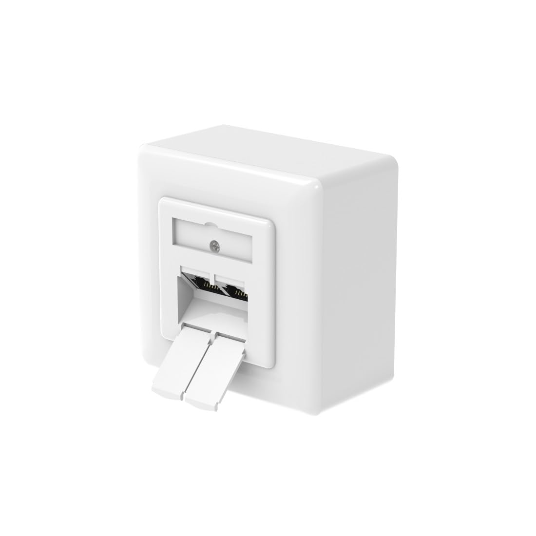 Network Socket, CAT 6a, 10Gbit/s, Shielded, 2 Ports, Surface-/ Flush-mount