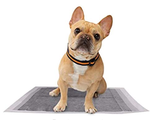 Coussinets absorbants pour chiens 60 x 90 cm tapis carbone - 3