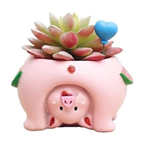 Youfui Cute Animal Flowerpot Animal Resin Succulent Planter Desk Mini Ornament (Pig) Cover