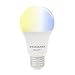 Sylvania Smart+ ZigBee Adjustable White A19 LED Bulb, Works with SmartThings and Amazon Echo Plus, Hub Needed for Amazon Alexa and The Google Assistant