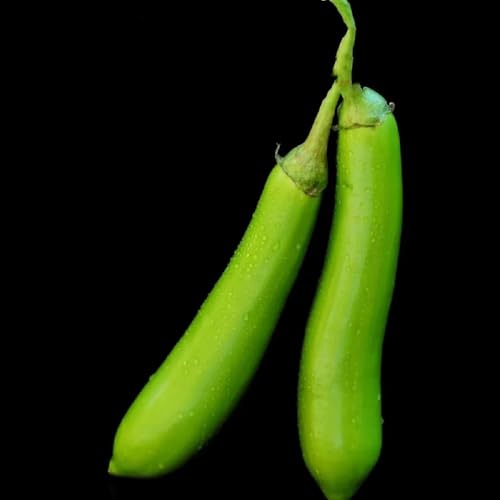 semillas de berenjena de balcón, decoración jardín exterior berenjena orgánicas, semillas 125pcs