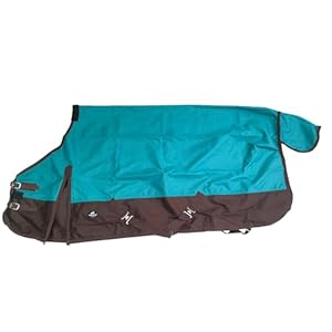 1200Denier Waterproof and Breathable Horse Sheet Tgw Riding Horse Blanket (80″, Turquoise)