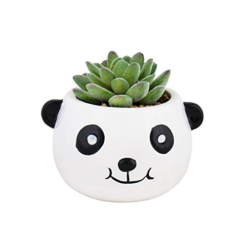 Grinning Panda Planter