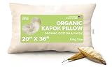 Bean Products Organic Kapok King Pillow