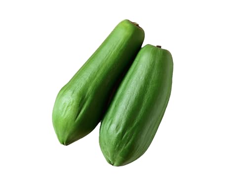 よかど市 有機青パパイヤ 青果 グリーンパパイヤ オーガニック 酵素の王様 パパイン酵素 鹿児島県産 (3kg)のサムネイル