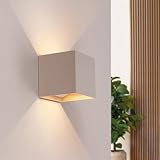 Ledvion