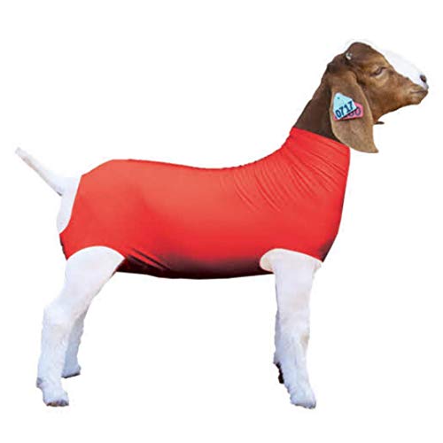 Show Pro Red Spandex Goat Tube for Show Goats - Made in America -Show Livestock Supplies: Goat Covers & Blankets (Medium)