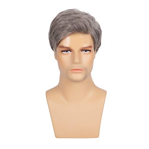 Swiking Men Wigs Short Grey Straight Natural Synthetic Cosplay Hair Wigs for Male Guy Daily Full Wig (Blonde Mix Grey)