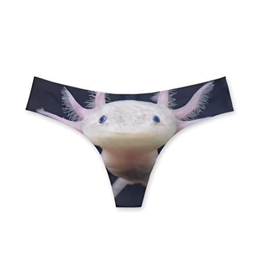 Dellukee Damen Sexy Tanga Unterwäsche High Cut Atmungsaktiv Stretch Bequem Unterwäsche Slip, Lustiger Salamander, M