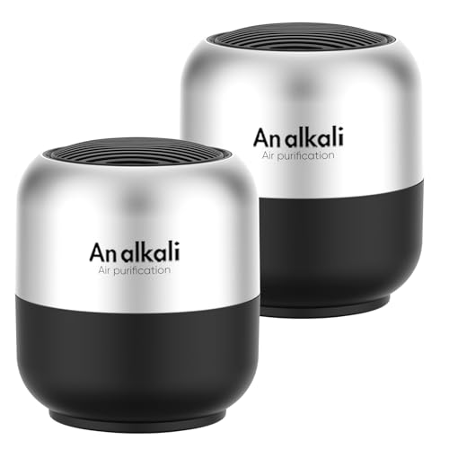 Fridge Deodorizer 2-Pack, Lasts 10 Years, Chemical-Free, Black