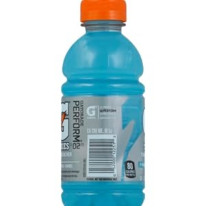 Gatorade thirst quencher sports drink frost glacier freeze 12oz bottles 12 pack electrolytes for rehydration  urban country home decor