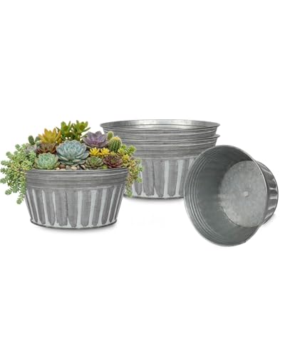 vensovo 10 Inches Silver Metal Rustic Plant Pots...