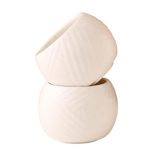 yjieseabanz ˂Z~bNZbg a  𐅍 u ۂ g[t dqW OK {  ƒp q g₷ pr gp (2t)