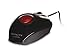 Produktbild Creative Labs Fatal1ty 1010 Gaming-Maus