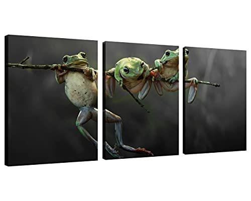 Nan Wind Frog On Tree Wall Art Canvas Wildlife Wall Decor Black And White Pictures On Wall Art For Home Office Decorations Living Room Bedroom And Kitchen Decor 3 Pcs Framed Canvas Prints 12X16Inches #TOP19