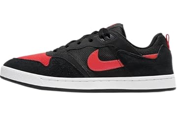 best nike sb shoes