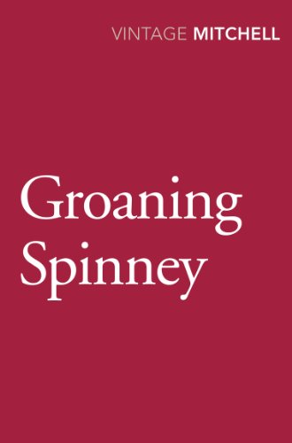 Groaning Spinney view 2
