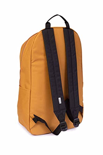 Timberland Men's Random, Brown, Taglia unica4