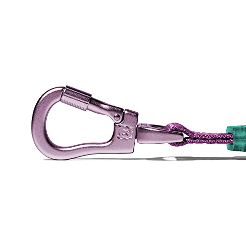 Cali Dos Airleash - Lightweight, Shock Absorbing Dog Leash With Soft Padded Handle #TOP4
