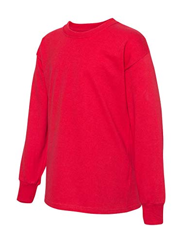Hanes ComfortSoft Tagless Long-Sleeve T-Shirt (5546) Athletic Red, S