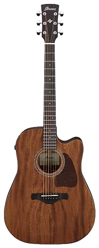 Ibanez AW1040CE-OPN – Guitare Acoustique - Les Beatles, Paul McCartney, John Lennon, RIngo Starr, George Harrison Ibanez AW1040CE-OPN - Guitare Acoustique – Image 3