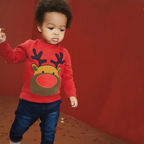Image of AIWUHE Toddler Cotton Sweatshirt Boys Girls Pullover Long Sleeve Tops 2-6Y