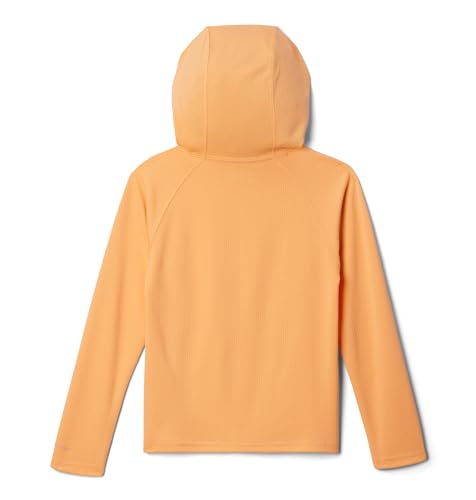 Columbia Kids' PFG Solar Stream Hoodie2
