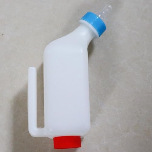 qr̚Mr qr̎r p~Nr ݂艺\Ȏqr̚Mr ̎qr̃~Nr _炩̃hN{g AArAM̏oYɉa^铮̎r