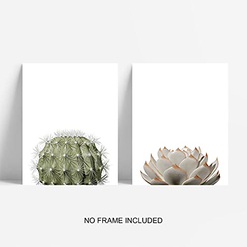 Botanical Plant Wall Art Prints, Cactus Wall Art, Minimalist Wall Art, Boho Wall Decor, Plant Wall Decor, Green Leaves Eucalyptus Pictures Posters, Bathroom Wall Decor, Kitchen Wall Decor (Set Of 6, 8X10In, Unframed) #TOP4