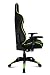 Drift DR300BG - Silla Gaming Profesional, (Polipiel Alta Calidad, Ergonómica), Color Negro/Verde