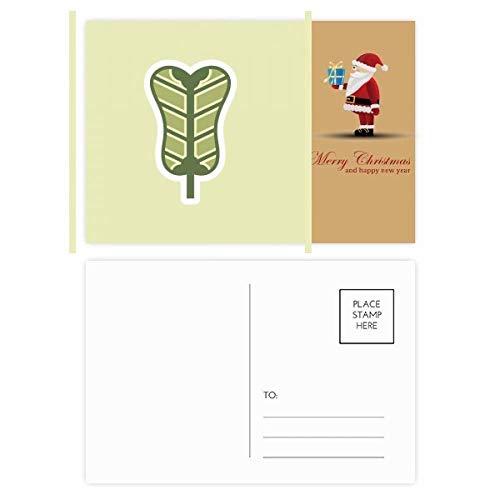 Cartes postales Père Noël Palmleaf Fan (Lot de 20) : ne manquez plus jamais de cartes de vœux