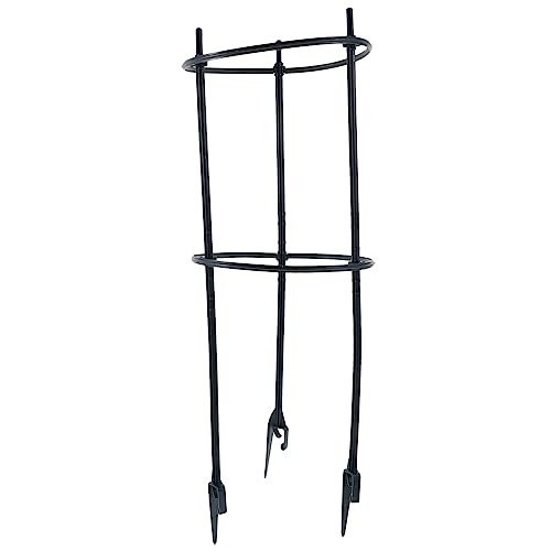 HEMOTON Supporto per Piante Rampicanti in Plastica Resistente Mensola Decorativa per Piante da Interno Supporto per Vasi per Fiori Filodendri Rampicanti e Fioriere