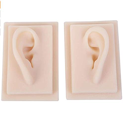 Amazon.co.jp: シリコン耳模型、学校の鍼治療教育キット用 1:1