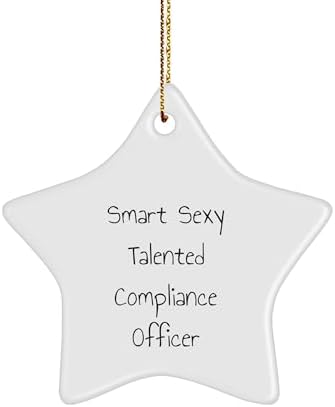 Smart Sexy Talented Compliance Officer Star Ornament, Funny Gift for Women Men Friends Family Coworkers This Christmas image 2