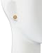 Tory Burch Logo Flower Resin Stud Earrings Light Oak Gold