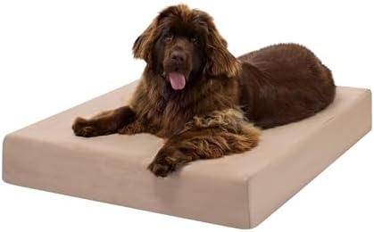 Barker Beds XL Orthopedic Dog Bed - 7" Memory Foam Mattress - 75-...