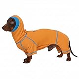 WienieDay- Suéter de cuello alto para perros salchicha, mono tipo suéter tipo gofre para perros salchicha miniatura,...