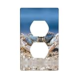 WZYWHJ Plaque murale en polycarbonate thermoplastique durable et flexible, offrant une résistance aux chocs durs et à la gravité, assurant une plaque murale durable et pratiquement incassable.