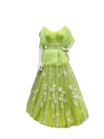 infabzonLehenga Choli For Women Bollywood Style Organza Silk With Embroidery Thread Sequnce Rivet Moti Work Stiched Canvas & Can Can