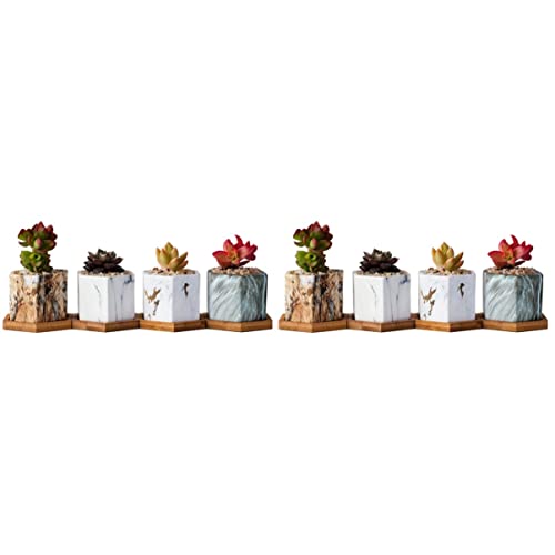 Yardwe 8 Pcs Mini Cerâmica Suculenta Cactus de Porcelana Suculento de Flores Pequenas