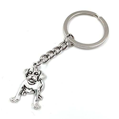 Onwomania - 'Hund Schnauzer Boxer Schlüsselanhänger - Metall Glücksbringer ideal als Geschenk z.B. für den besten Freund, die beste Freundin, Mama - Für Männer, Frauen & Kinder